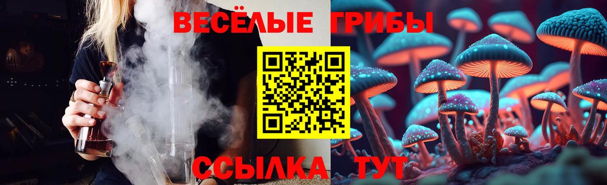 Тында  где купить наркотик  Галлюциногенные грибы Magic Shrooms  Вход с VPN  Галлюциногенные грибы MAGIC MUSHROOMS 