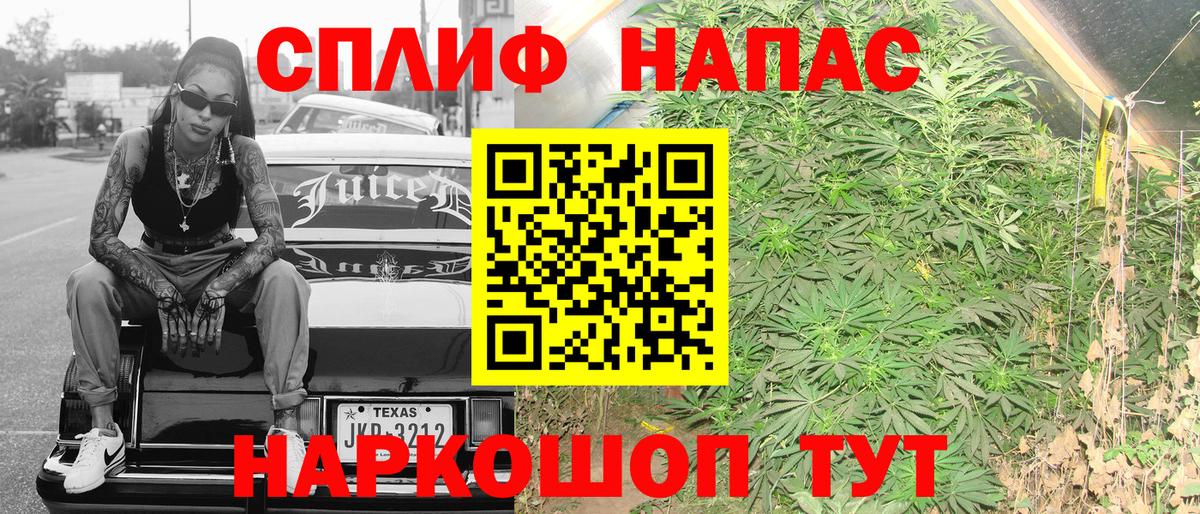 Конопля планчик  Бошки Шишки конопля  Тында  Вход с VPN 